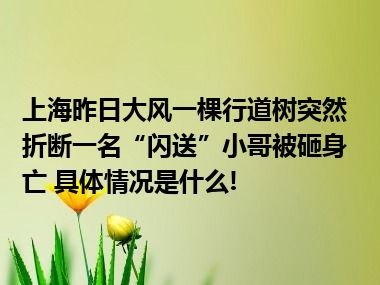 上海昨日大风一棵行道树突然折断一名“闪送”小哥被砸身亡 具体情况是什么!