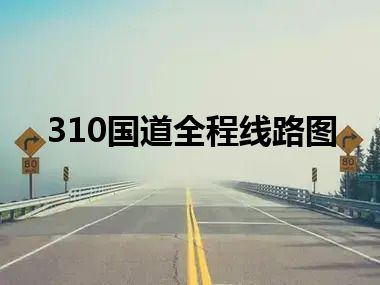 310国道全程线路图