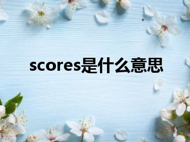 scores是什么意思