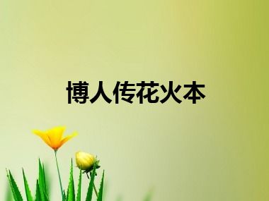 博人传花火本