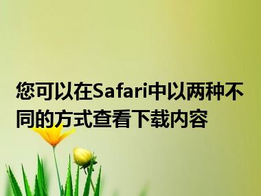 您可以在Safari中以两种不同的方式查看下载内容