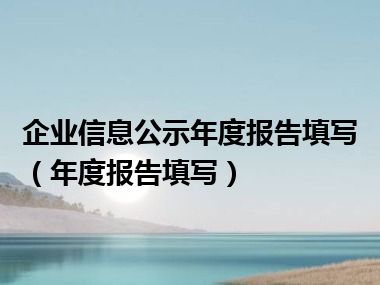 企业信息公示年度报告填写（年度报告填写）