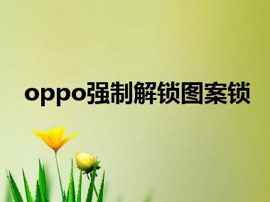 oppo强制解锁图案锁