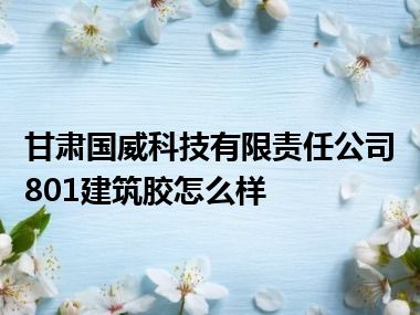 甘肃国威科技有限责任公司801建筑胶怎么样