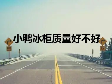 小鸭冰柜质量好不好