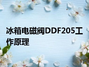 冰箱电磁阀DDF205工作原理