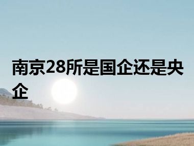 南京28所是国企还是央企