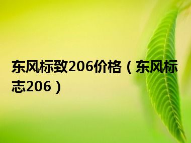 东风标致206价格（东风标志206）