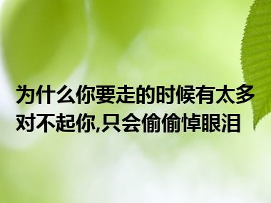 为什么你要走的时候有太多对不起你,只会偷偷悼眼泪