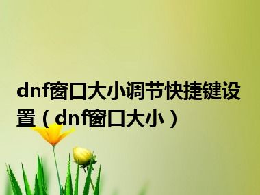 dnf窗口大小调节快捷键设置（dnf窗口大小）