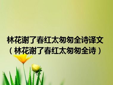 林花谢了春红太匆匆全诗译文（林花谢了春红太匆匆全诗）