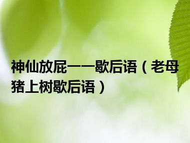 神仙放屁一一歇后语（老母猪上树歇后语）