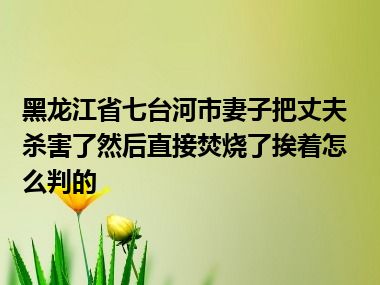 黑龙江省七台河市妻子把丈夫杀害了然后直接焚烧了挨着怎么判的