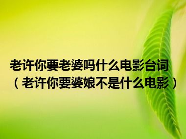 老许你要老婆吗什么电影台词（老许你要婆娘不是什么电影）