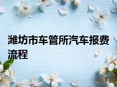 潍坊市车管所汽车报费流程