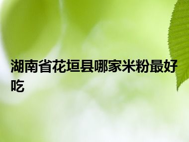 湖南省花垣县哪家米粉最好吃