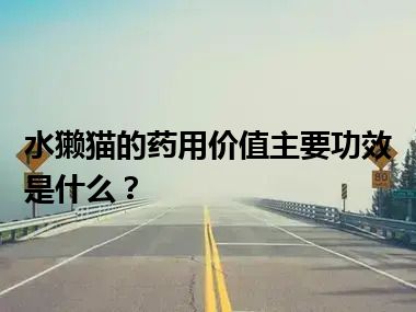 水獭猫的药用价值主要功效是什么？