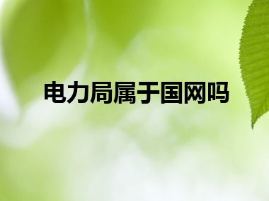 电力局属于国网吗