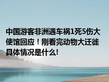 中国游客非洲遇车祸1死5伤大使馆回应！刚看完动物大迁徙 具体情况是什么!