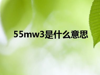 55mw3是什么意思