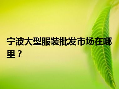 宁波大型服装批发市场在哪里？