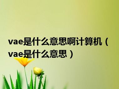 vae是什么意思啊计算机（vae是什么意思）