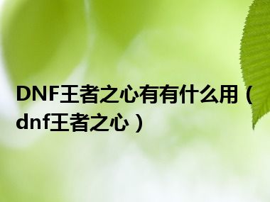 DNF王者之心有有什么用（dnf王者之心）