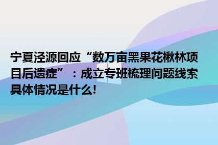 宁夏泾源回应“数万亩黑果花楸林项目后遗症”：成立专班梳理问题线索 具体情况是什么!