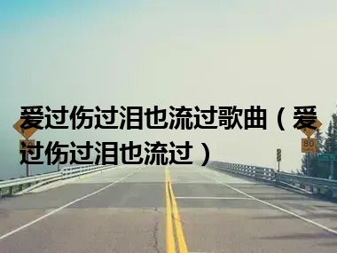 爱过伤过泪也流过歌曲（爱过伤过泪也流过）