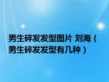 男生碎发发型图片 刘海（男生碎发发型有几种）