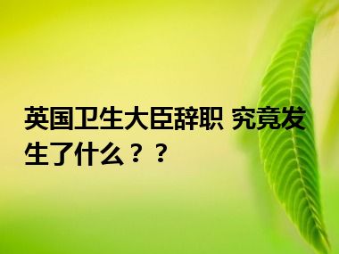 英国卫生大臣辞职 究竟发生了什么？？