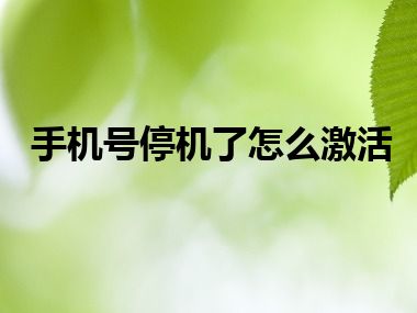 手机号停机了怎么激活