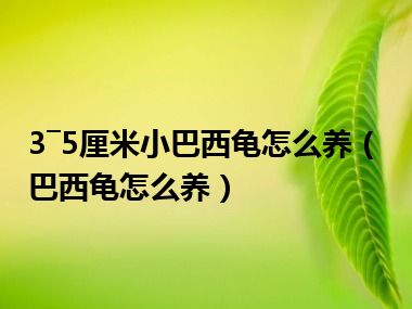 3―5厘米小巴西龟怎么养（巴西龟怎么养）