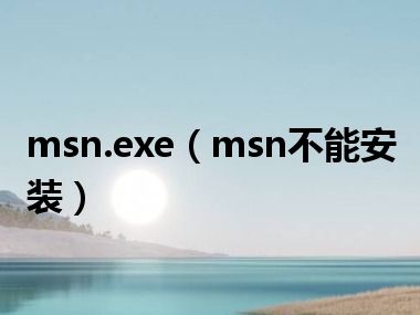 msn.exe（msn不能安装）