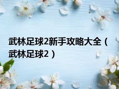 武林足球2新手攻略大全（武林足球2）