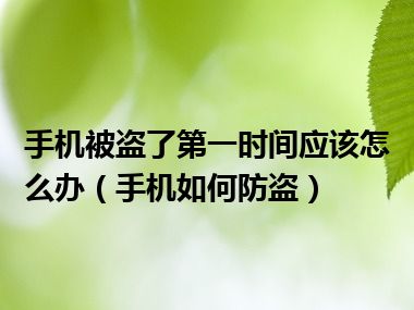 手机被盗了第一时间应该怎么办（手机如何防盗）