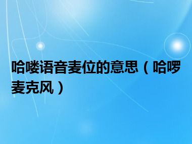 哈喽语音麦位的意思（哈啰麦克风）