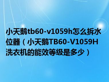 小天鹅tb60-v1059h怎么拆水位器（小天鹅TB60-V1059H洗衣机的能效等级是多少）