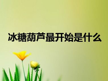 冰糖葫芦最开始是什么