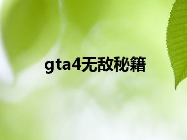 gta4无敌秘籍