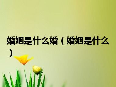 婚姻是什么婚（婚姻是什么）