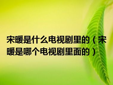 宋暖是什么电视剧里的（宋暖是哪个电视剧里面的）