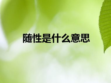 随性是什么意思