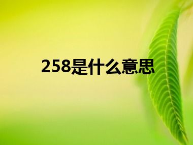 258是什么意思