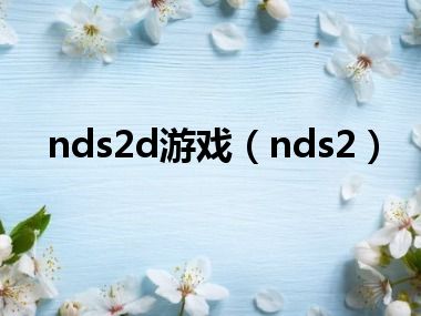 nds2d游戏（nds2）