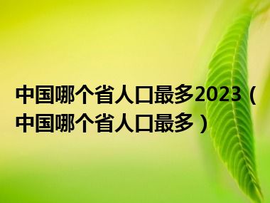 中国哪个省人口最多2023（中国哪个省人口最多）