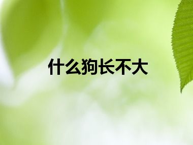 什么狗长不大