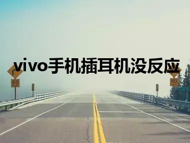 vivo手机插耳机没反应