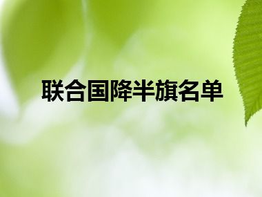 联合国降半旗名单