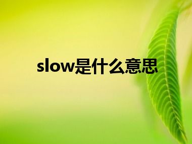 slow是什么意思